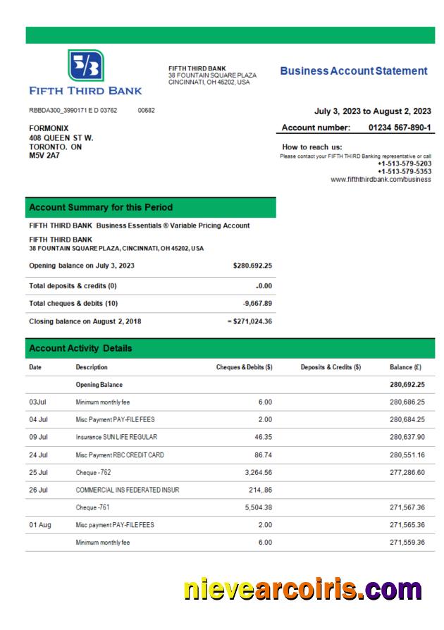 Fifth Third Bank business bank statement